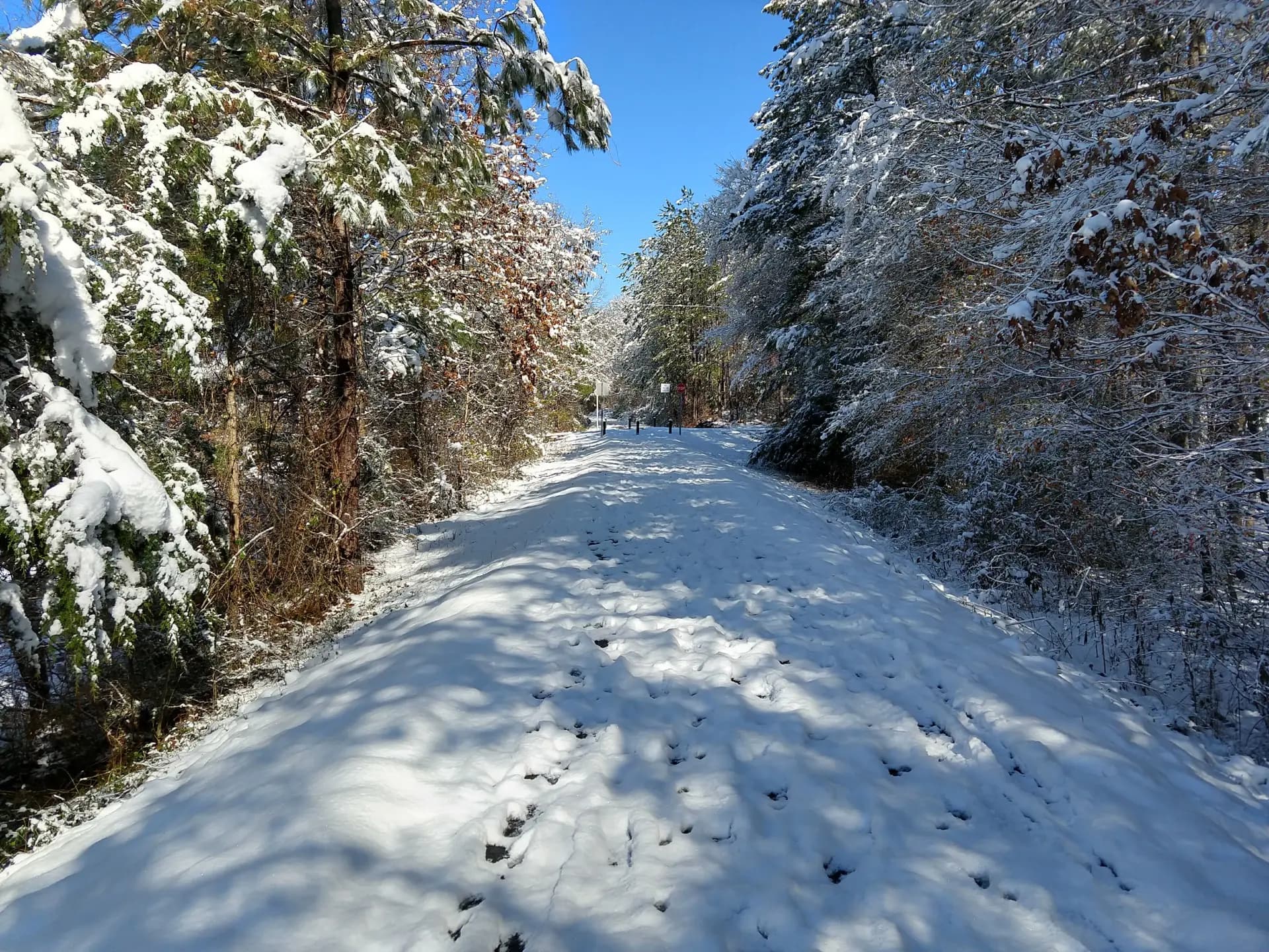 The Chief Ladiga Trail covered in snow, bare trees and blue sky, December 2017