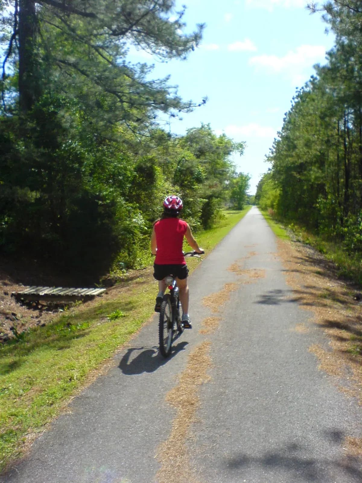 Heather riding a bike away from camera on the Chief Ladiga Trail, trail disappearing into summer trees ahead