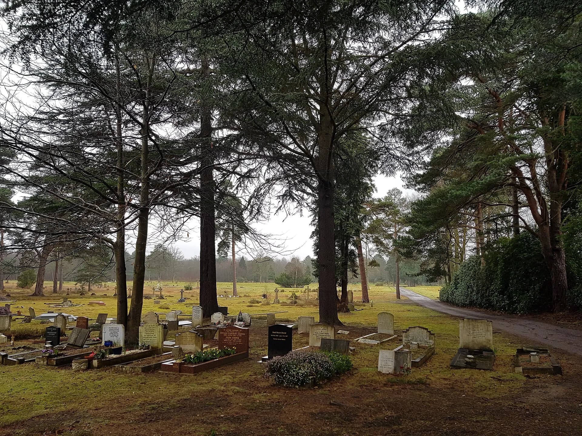 Brookwood, Alabama