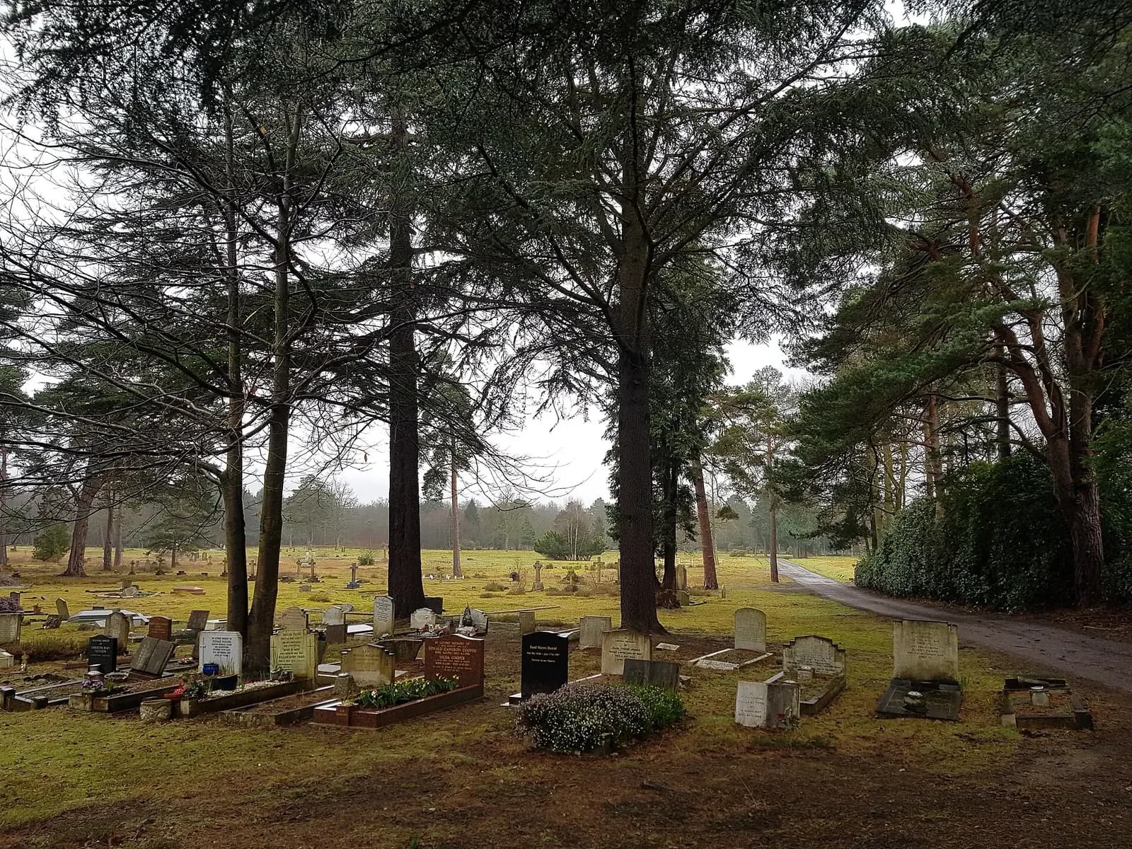 Brookwood, Alabama