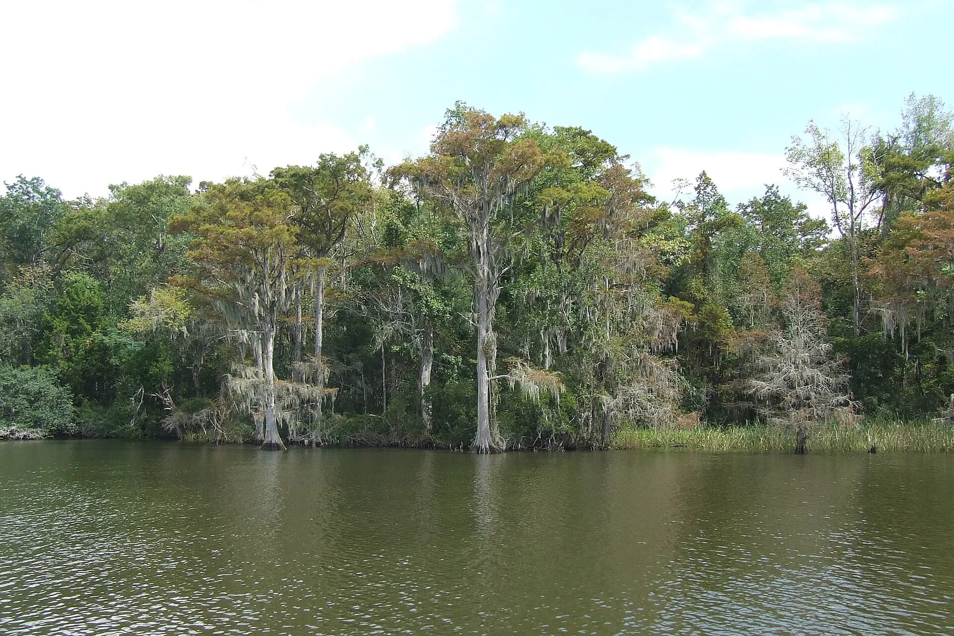 Delta, Alabama