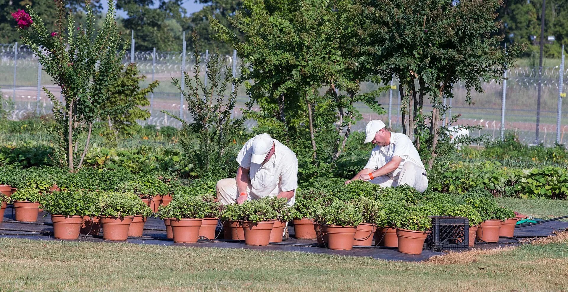 Harvest, Alabama