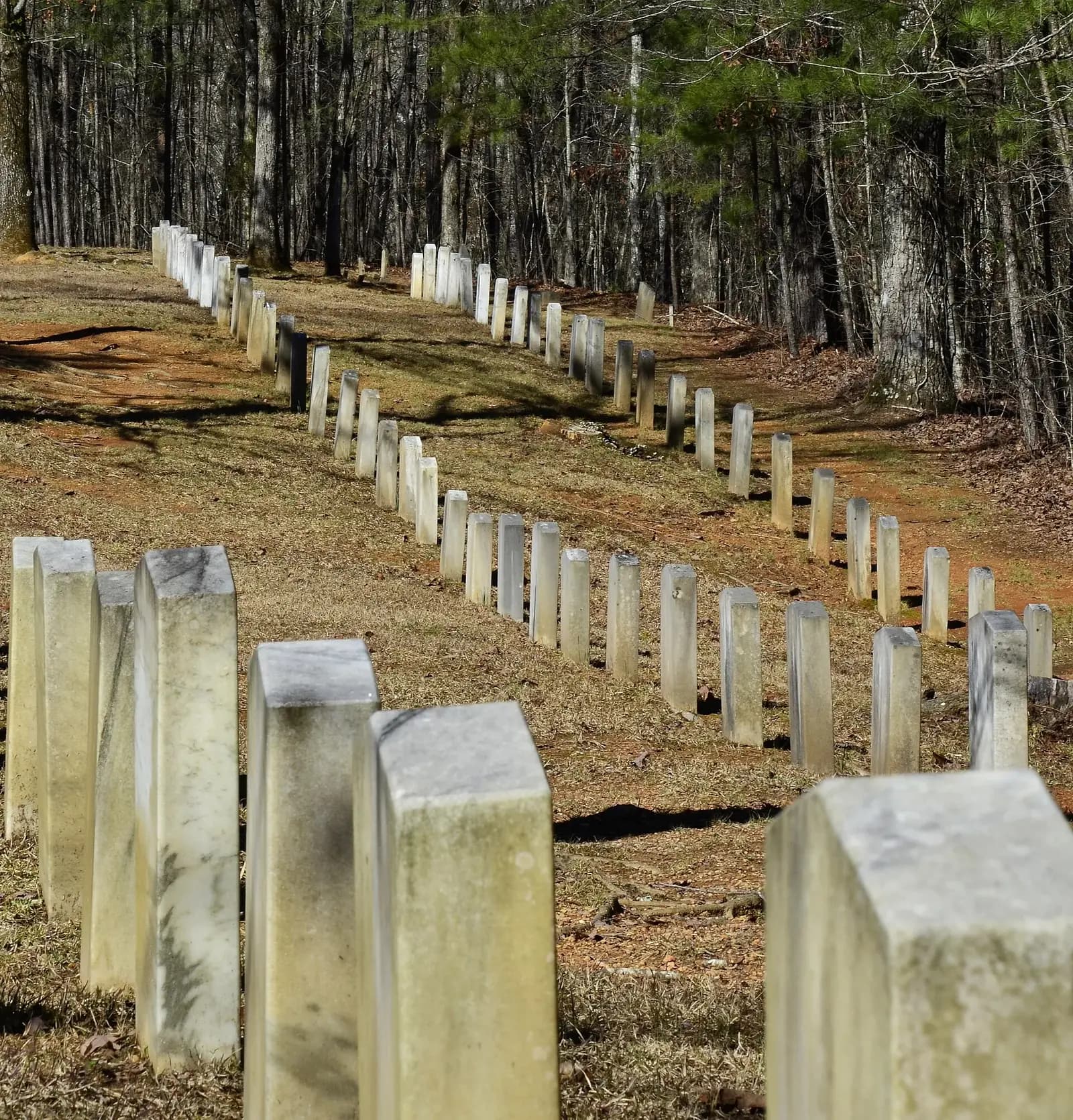 Shelby, Alabama