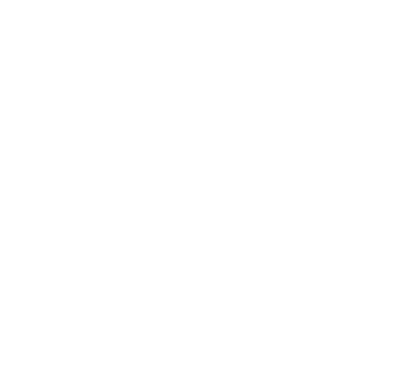 2nd Chance, Inc. logo, domestic violence services, Anniston, Alabama