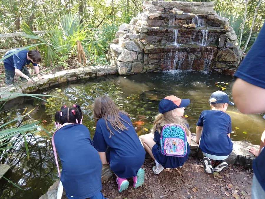 Children on a school field trip gathered around a waterfall on the bird of prey trail outside the Anniston Museum of Natural History
