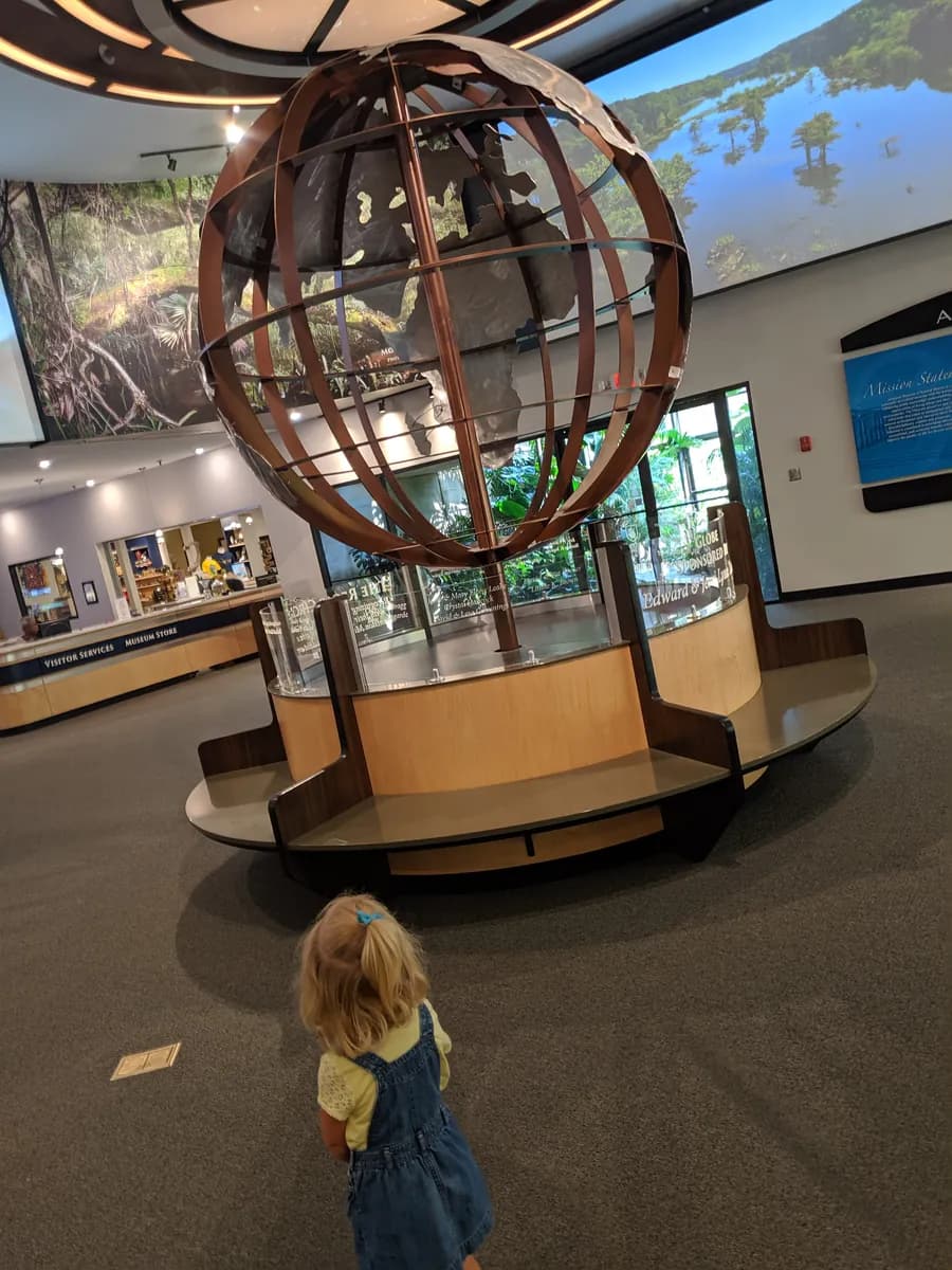 A child exploring the lobby of the Anniston Museum of Natural History