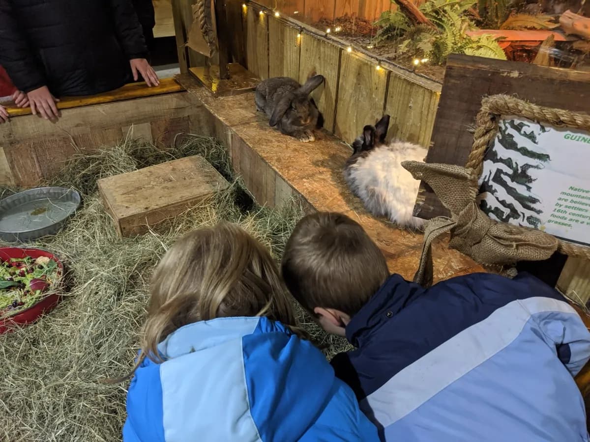 Two children lean over a rabbit hutch at the Noccalula Falls animal habitat