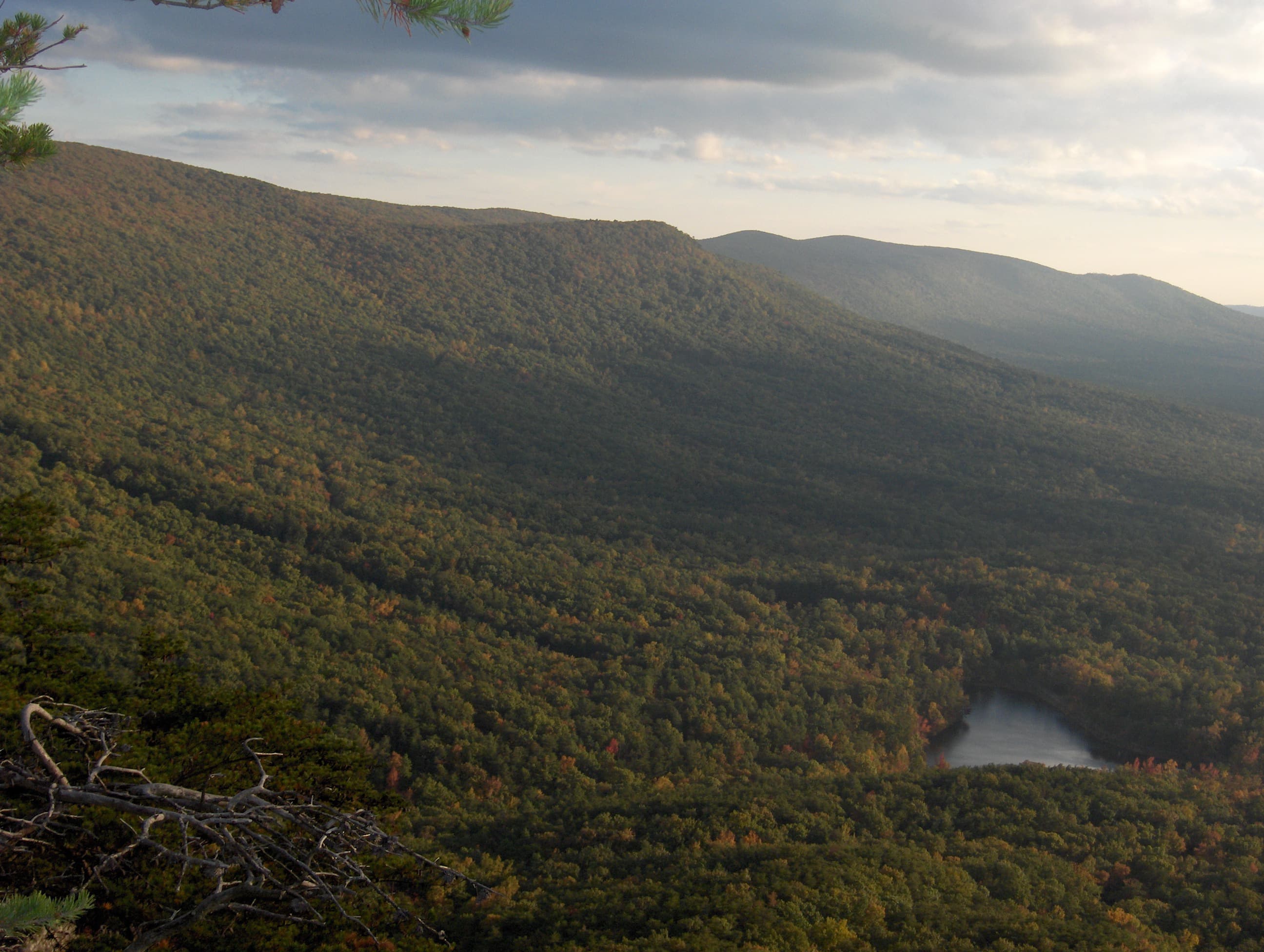 Coldwater Trail Race — Life Time