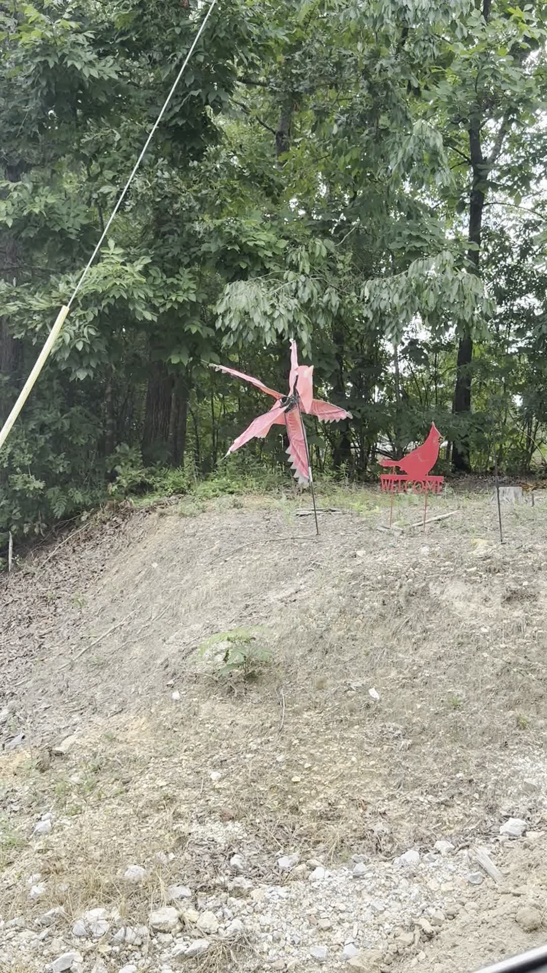 Metal redbird sculptures at the farm entrance