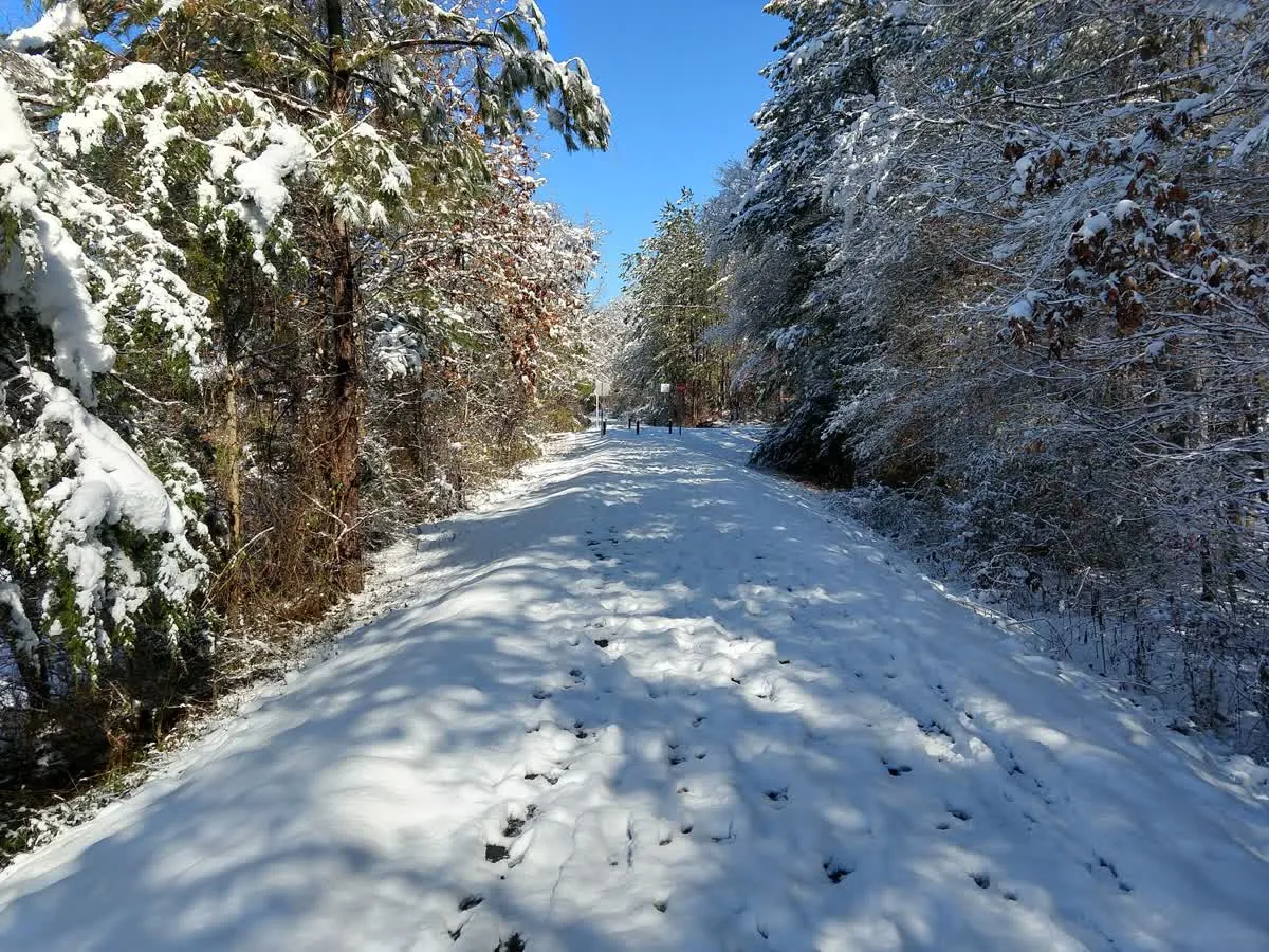 Chief Ladiga Trail