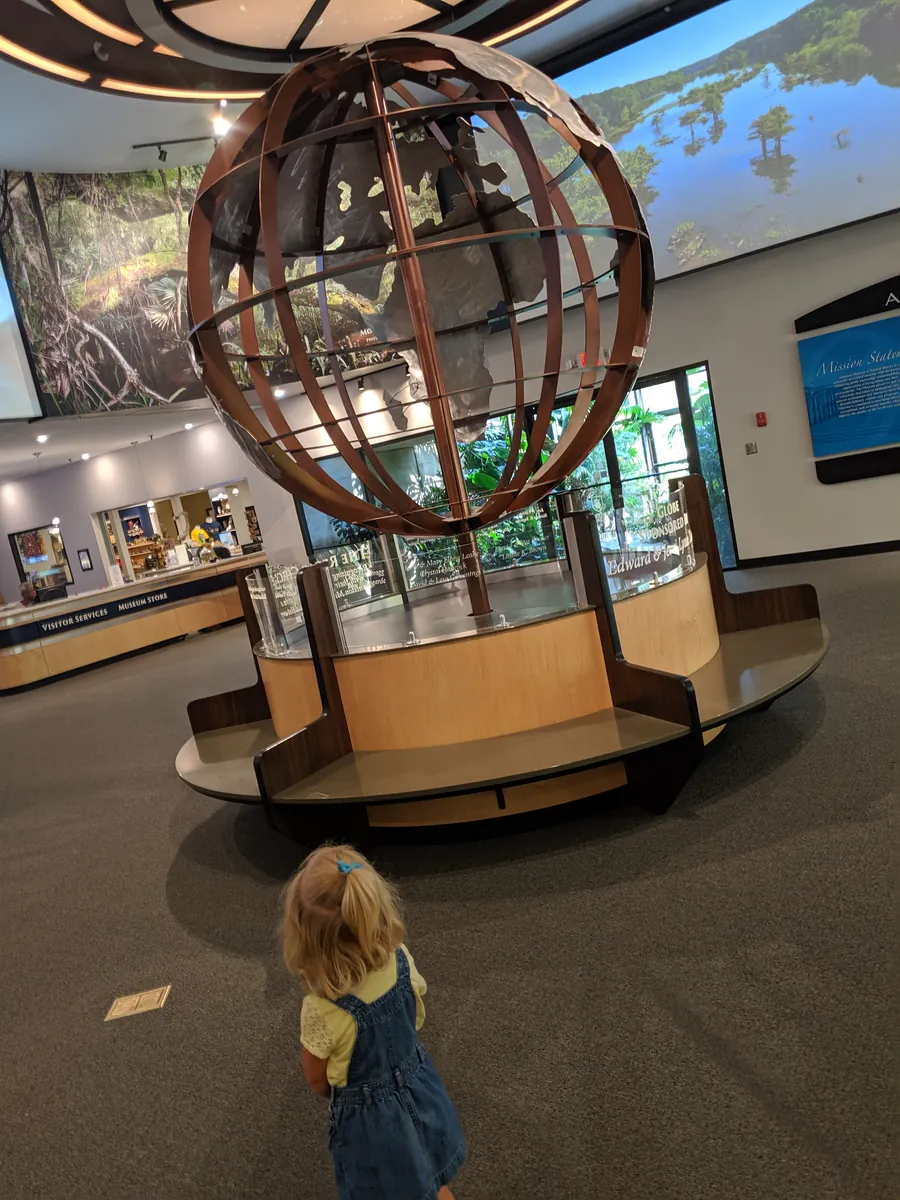 A child exploring the lobby of the Anniston Museum of Natural History