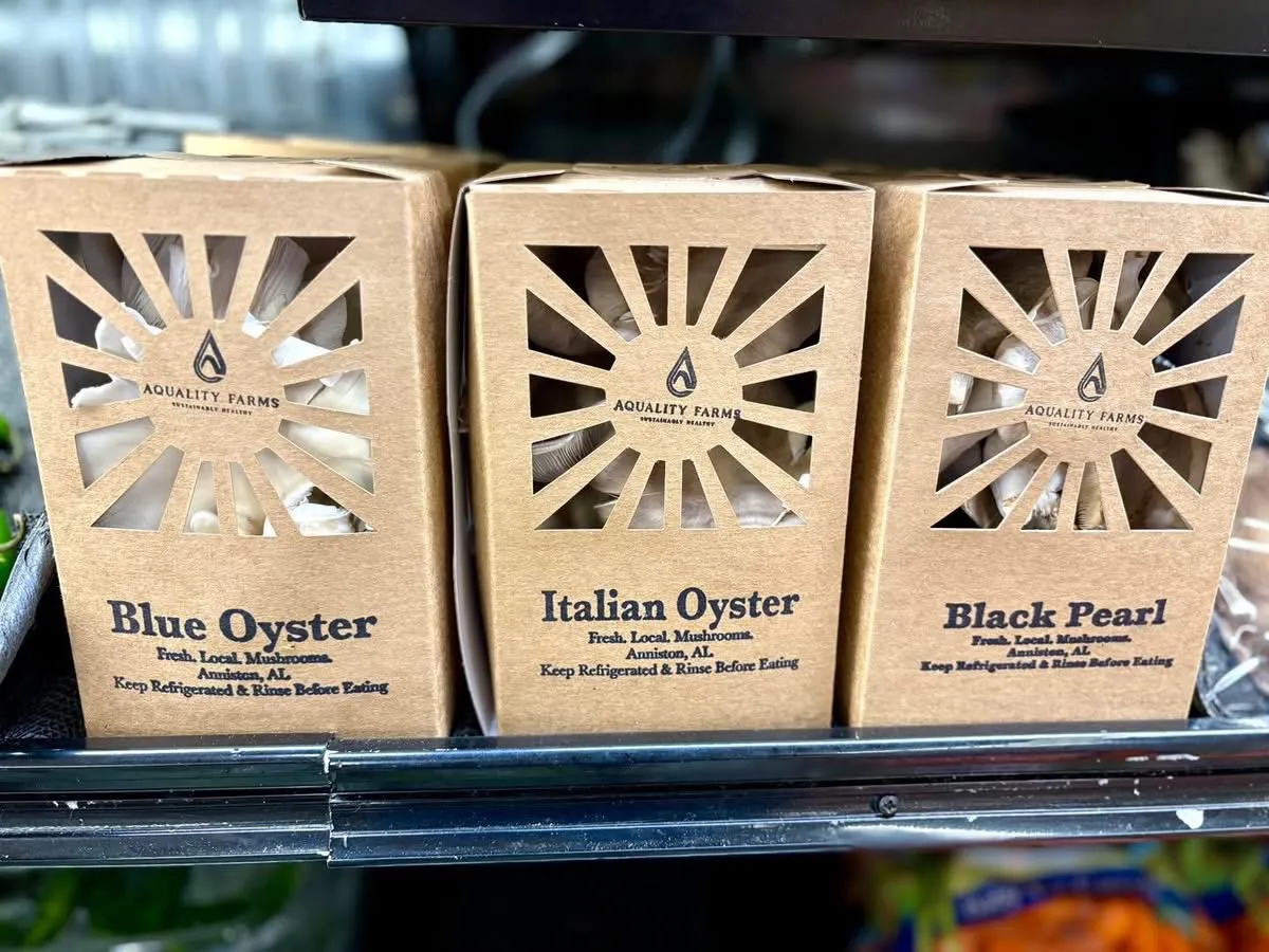 Aquality Farms mushroom grow kits: Blue Oyster, Italian Oyster, and Black Pearl