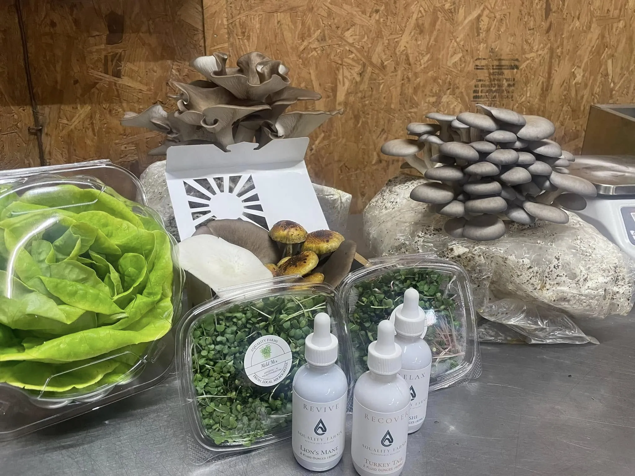 Aquality Farms products: butter lettuce, microgreens, oyster mushrooms, and mushroom tincture bottles